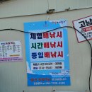 매일좌대낚시 이미지