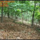 도롱리 마을회관 이미지