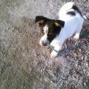 백용낚시터 이미지