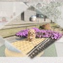 동해애견센터 이미지