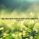 세상의빛 이미지