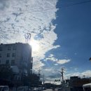 하삼감자탕 | 근로핑의 독립일기 #13