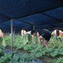 부귀보건지소 이미지