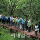 국립산림치유원, ‘약선요리와 함께 하는 치유프로그램' 운영 이미지