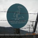 늣가을의 큰 푸른 왜가리 서식지(The Great Blue Heron Nature Reserve) 이미지