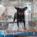 강서구-61 이미지
