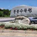 들꽃목장 이미지