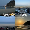 백사장사계절숲속야영장 | 양양 바다 죽도야영장 감성캠핑 추천