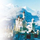 영봉농장 이미지