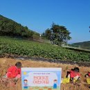 현대키즈어린이집 이미지