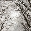 삼랑진발전처 이미지