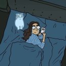 고양이 행복 쉼터 네이버블로그