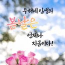 송림공인중개사사무소 이미지