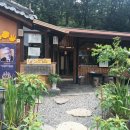 면역공방 이미지