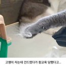 허숙희네 이미지