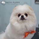 위드퍼피 애견미용실 이미지