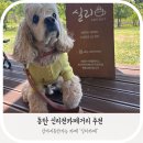 동탄 신리천 카페거리 강아지동반카페 추천! ‘실리(SILLY)’ 방문후기