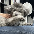 까망드럼통 이미지