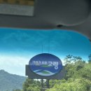 대가야반점 이미지