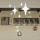 마이독그루밍 이미지