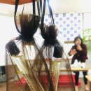 바디라이프 이미지