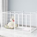 대성애견 이미지