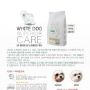 화이트 독 이미지