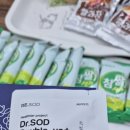 석항 | 서지석항상화제 건강한 생활을 위한 닥터 에스오디 더블업플러스 후기