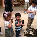 현준농장 이미지