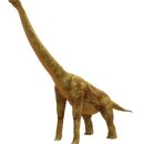 말라위사우루스 이미지