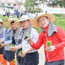 중흥리경로당 이미지