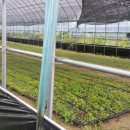 고니하우스 이미지