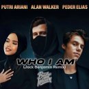 Who I Am - Alan Walker , Putri Ariani, Peder Elias 이미지