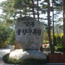 솔향수목원(솔숲광장) 이미지