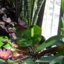 들녁의 하얀집 이미지