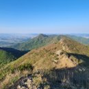 대방리 화장실 이미지