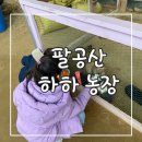 채니농장 | [리뷰]대구하하농장(대구가볼만한곳,하하농장)