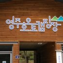 영주호오토캠핑장 | 영주호오토캠핑장 물문화관 오빵용마루공원점 영주어드벤쳐캐슬 무섬외나무다리