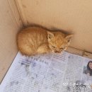 봉곡동042 이미지