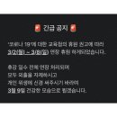 ZN댄스 이미지