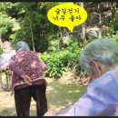 의료법인 대한불교조계종승려복지 네이버블로그
