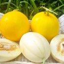 오남매농장 이미지