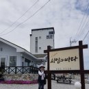 시인과 바다 Daum카페