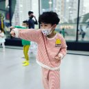 국가대표코리아태권도장 이미지