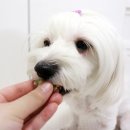 스윗컴퓨터 이미지