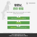 괴산동물병원 이미지