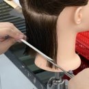 생활미용(헤어디자인) | 청천동서경대미용학원 실제 수강 후기｜서경대 헤어디자인 준비한 리얼 경험담