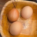 한방전주콩나물국밥 | 안산 사동 정비단지 해장부터 든든한 한 끼, 가성비 좋은 한방전주콩나물국밥 (지장수 전주 콩나물국밥)