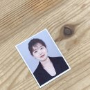 비밀의정원경북대 이미지
