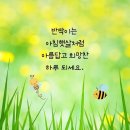 아침햇살 이미지